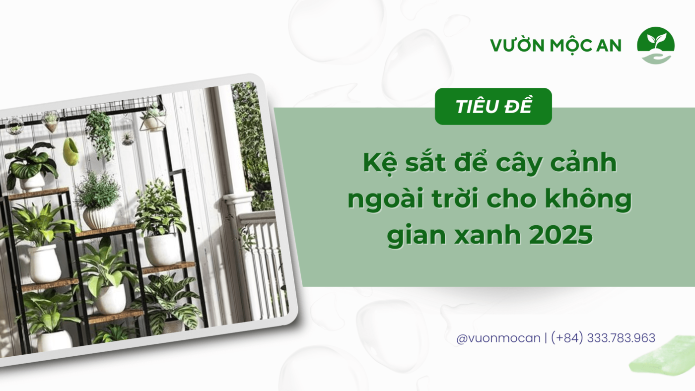 Kệ sắt để cây cảnh ngoài trời