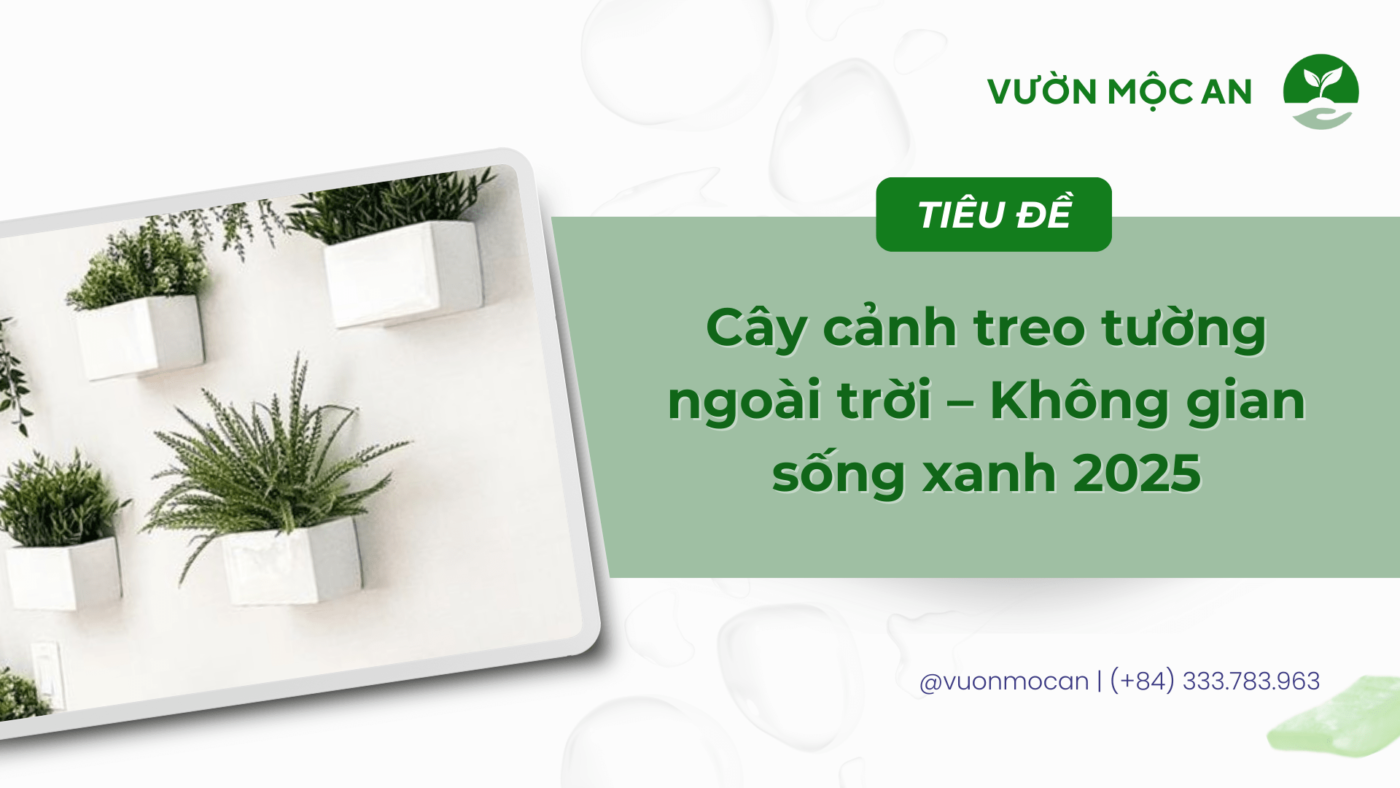 Cây cảnh treo tường