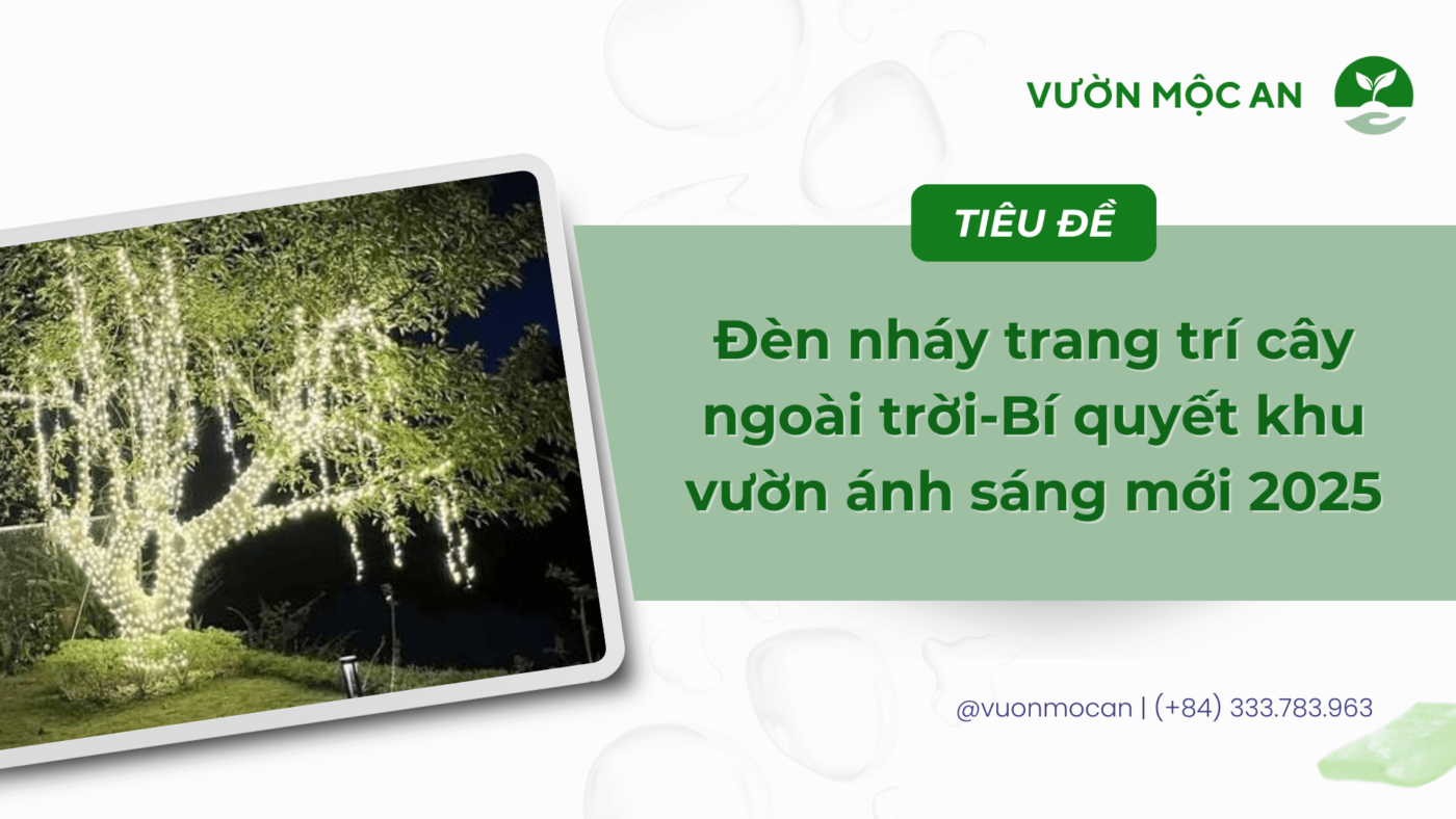 Đèn nháy trang trí cây ngoài trời