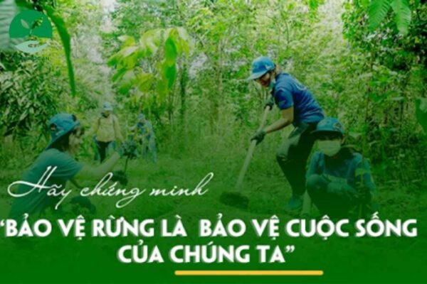 Ý Nghĩa Của Cây Sen Đá Trong Ngày Quốc Tế Rừng 21/3