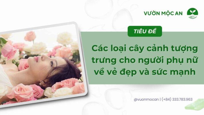 Cây cảnh tượng trưng cho vẻ đẹp người phụ nữ