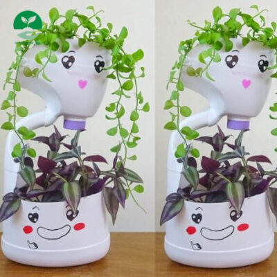 Cách làm chậu cây từ vỏ chai nhựa 