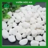 1kg sỏi trắng trang trí chậu cây
